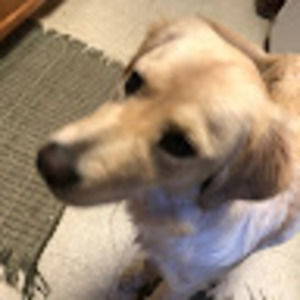 Meet your Posher, Rick